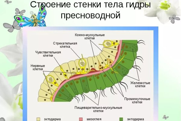 Кракен ссылка на сайт com