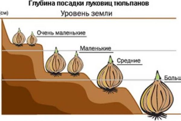 Кракен даркнет что известно