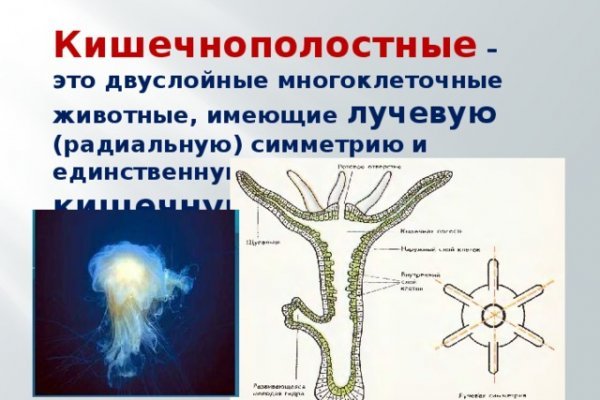 Маркет плейс кракен маркетплейс